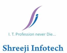 Shreeji Infotech
